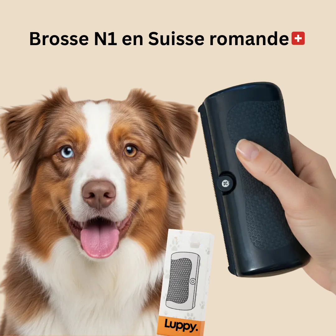 Brosse démêlante ergonomique
